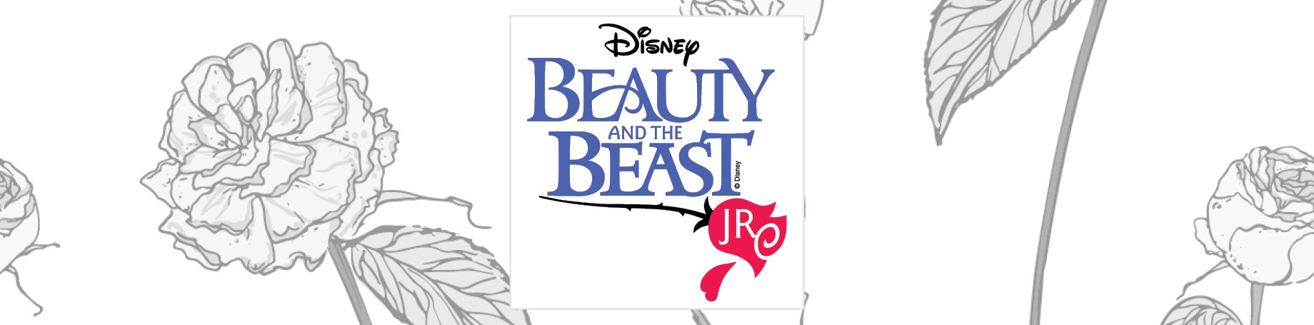 Disney's BEAUTY & THE BEAST Jr.